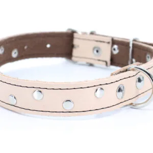 Loon kožený obojek pro psa | 22 – 65 cm Barva: Béžová