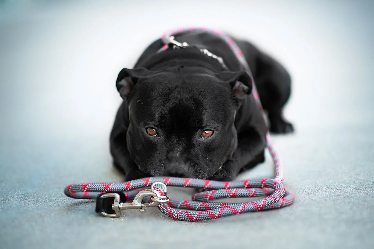 Šířka vodítka: 1