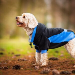 Vsepropejska Cool fleecová mikina pro psa s kapsičkou Barva: Černo-modrá