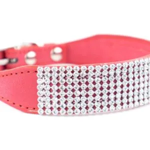 Vsepropejska Daily obojek pro psa s kamínky | 27 - 37 cm Barva: Červená