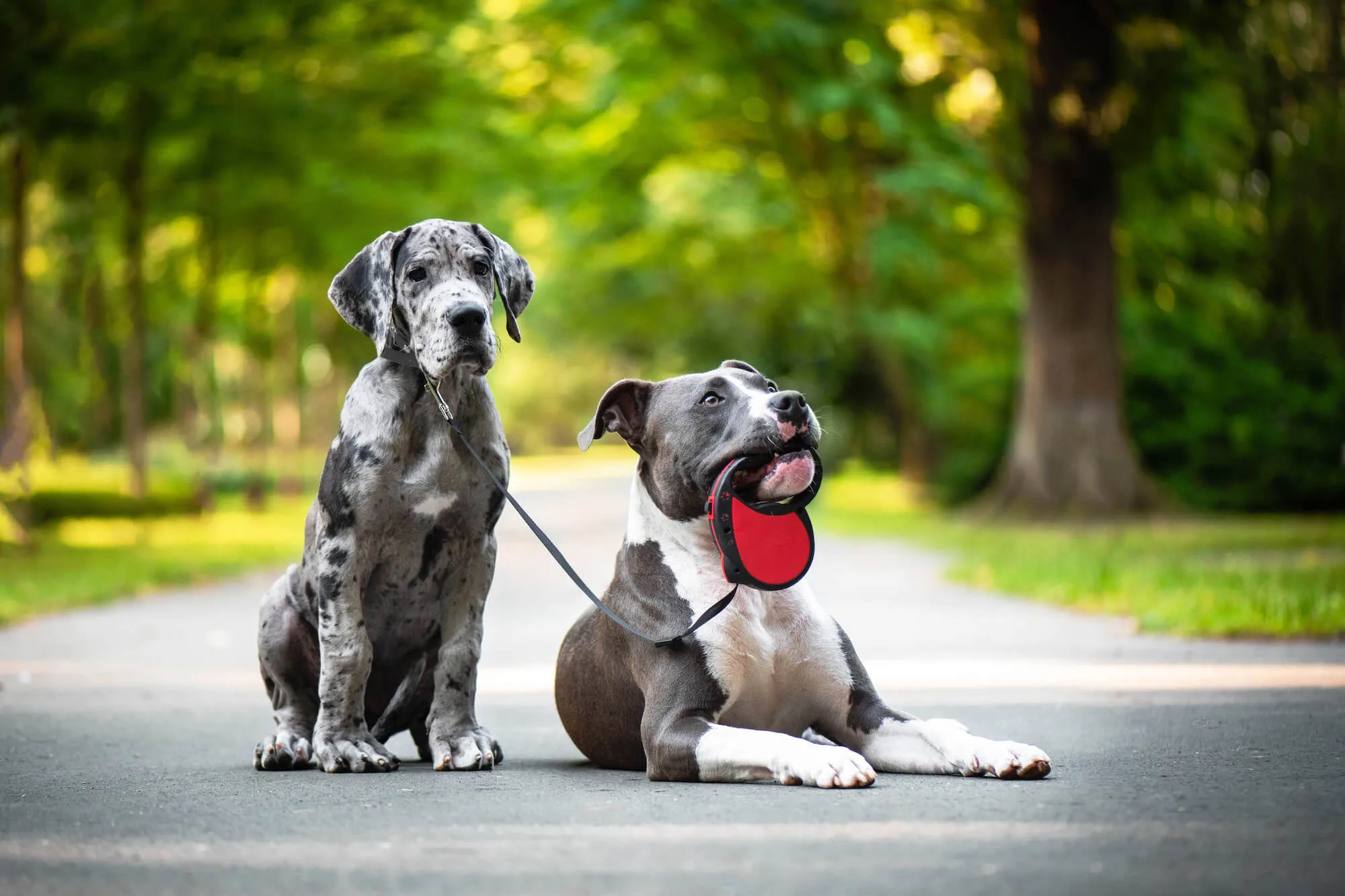 Délka vodítka: 5 m