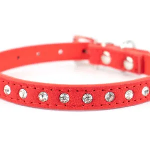 Obvod krku: 31 - 40 cm