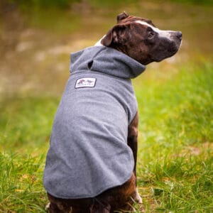 Vsepropejska Kate fleecová mikina pro psa Barva: Šedá