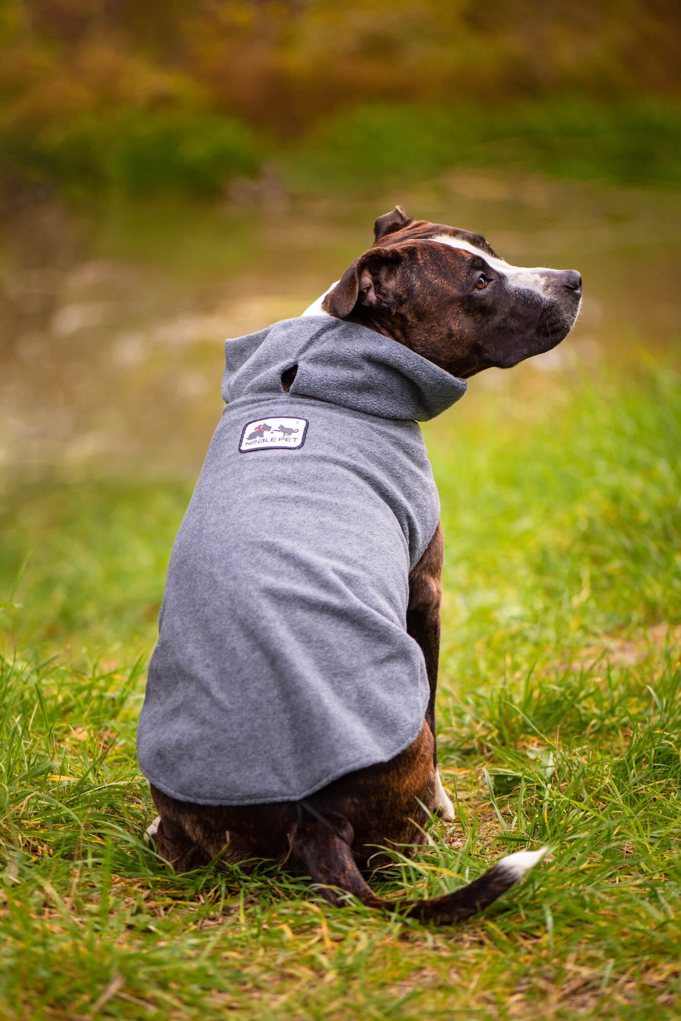 Vsepropejska Kate fleecová mikina pro psa Barva: Šedá