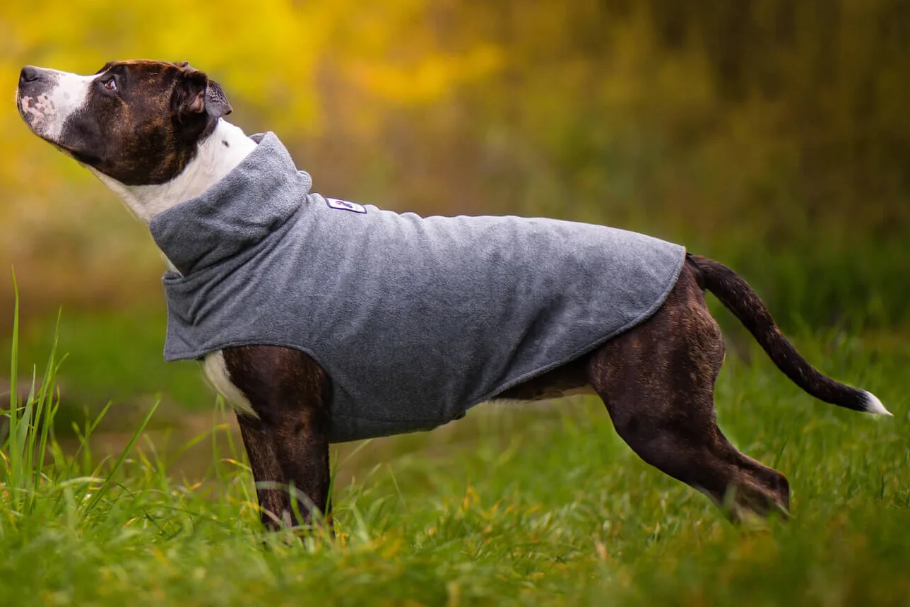 Vsepropejska Kate fleecová mikina pro psa Barva: Šedá