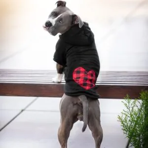 Vsepropejska Soul mikina pro psa se srdcem Barva: Černá