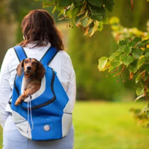 Vsepropejska Trend batoh pro psa | do 10 Kg Barva: Modrá