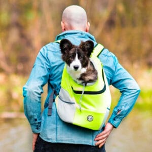 Vsepropejska Trend batoh pro psa | do 10 Kg Barva: Zelená