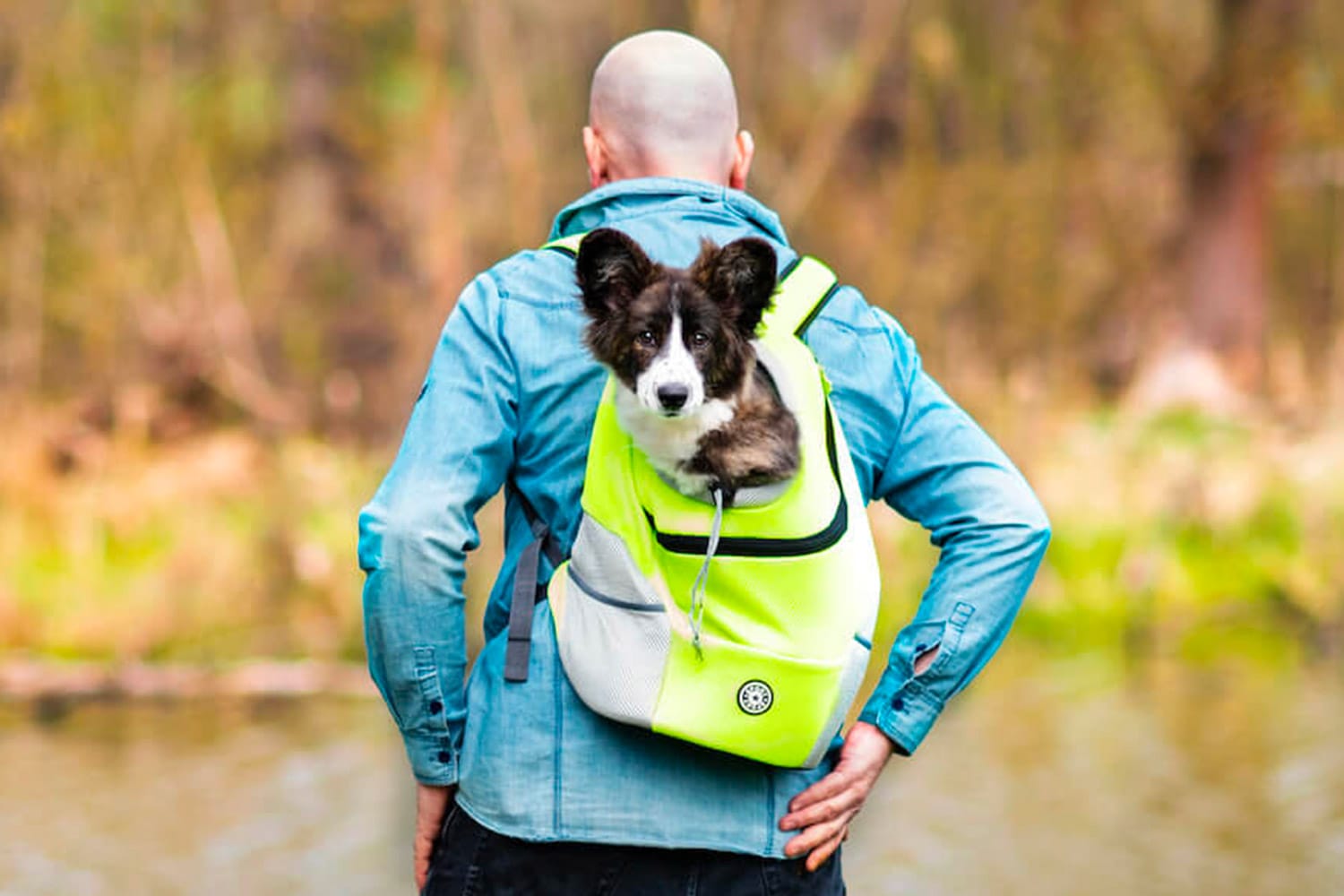 Vsepropejska Trend batoh pro psa | do 10 Kg Barva: Zelená