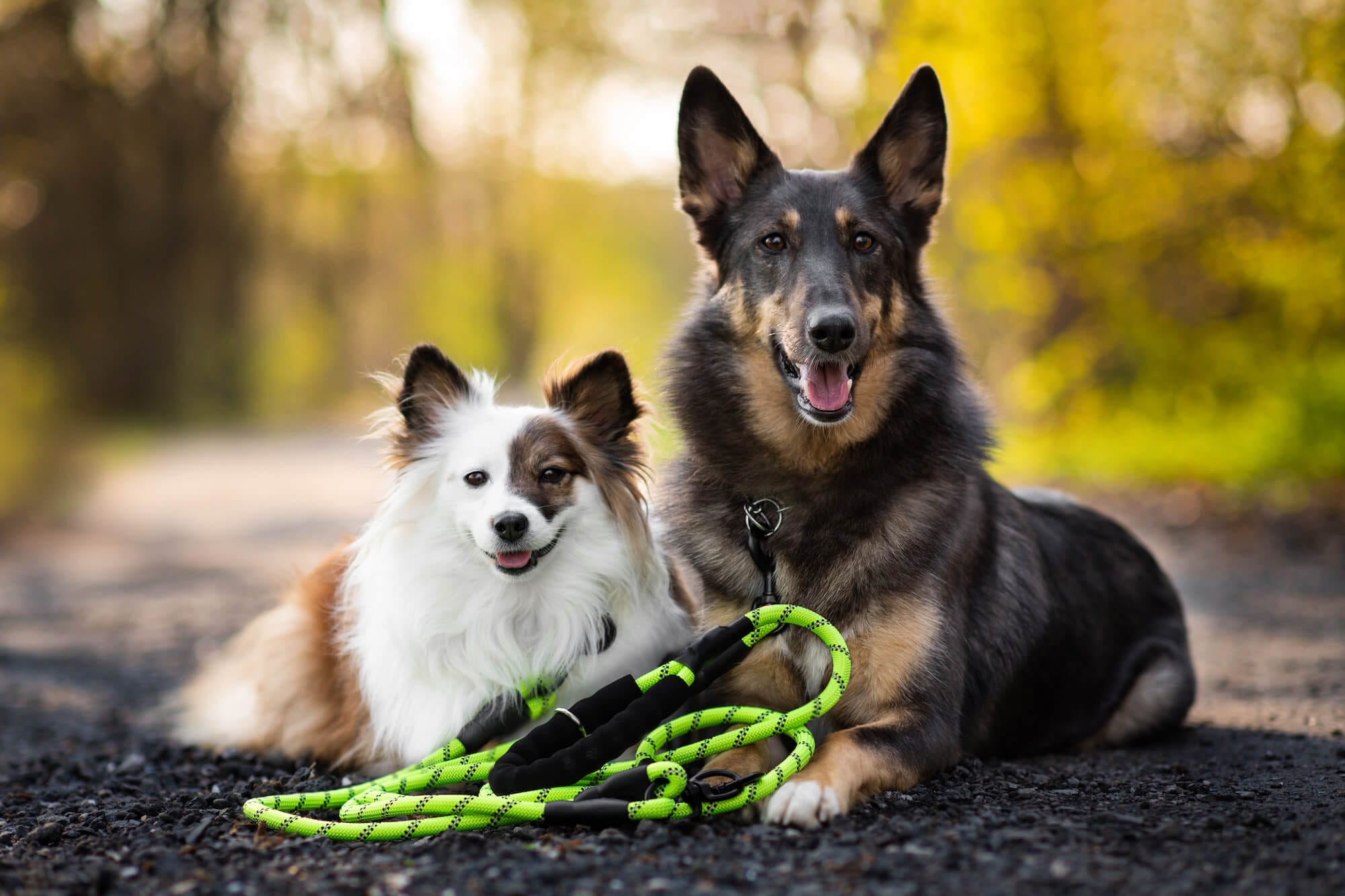 Délka vodítka: 200 cm