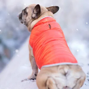 Vsepropejska Sonda oboustranný obleček pro psa Barva: Oranžovo-hnědá