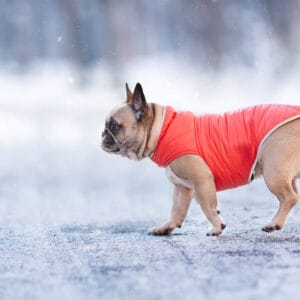 Vsepropejska Sonda oboustranný obleček pro psa Barva: Oranžovo-hnědá