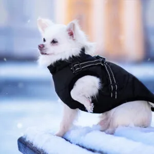 Vsepropejska Achar zimní bunda pro psa s postrojem Barva: Černá