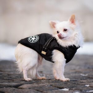 Vsepropejska Achar zimní bunda pro psa s postrojem Barva: Černá