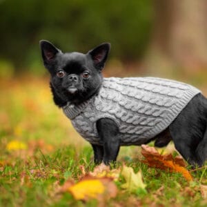 Vsepropejska Aram svetr pro psa Barva: Šedá