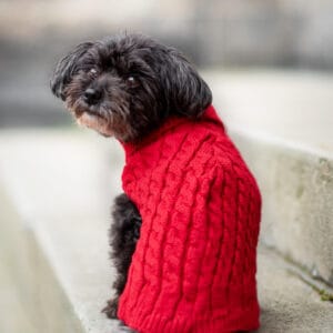 Vsepropejska Aram svetr pro psa Barva: Vínová