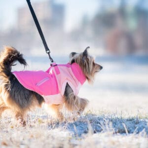 Vsepropejska Aston obleček pro psa na zip Barva: Růžová