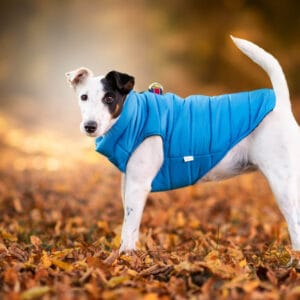 Vsepropejska Color-rainy obleček pro psa na zip Barva: Modrá