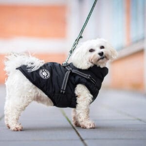Vsepropejska Filip obleček pro psa na zip Barva: Černá