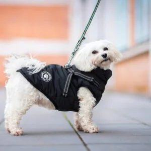Vsepropejska Filip obleček pro psa na zip Barva: Černá