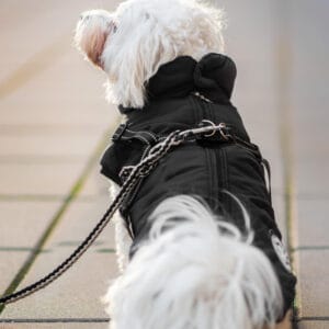 Vsepropejska Filip obleček pro psa na zip Barva: Černá