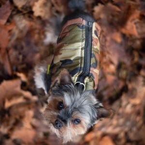 Vsepropejska Knox obleček pro psa na zip Barva: Zelená