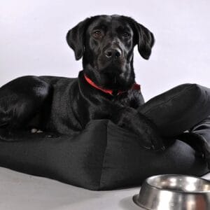 Vsepropejska Lux nadýchaný pelech pro psa Barva: Černá