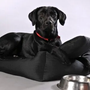 Vsepropejska Lux nadýchaný pelech pro psa Barva: Černá