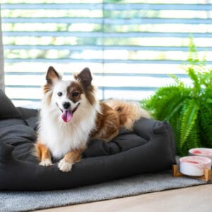 Rozměr (cm): 130 x 110