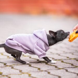 Vsepropejska Mitexi mikina s kapsou pro psa Barva: Fialová