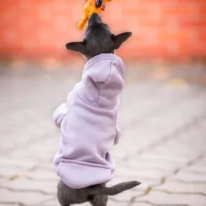 Vsepropejska Mitexi mikina s kapsou pro psa Barva: Fialová