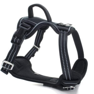 Obvod hrudníku: 63 - 91 cm