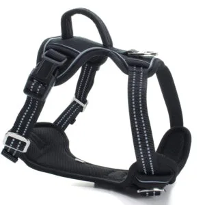 Obvod hrudníku: 63 - 91 cm