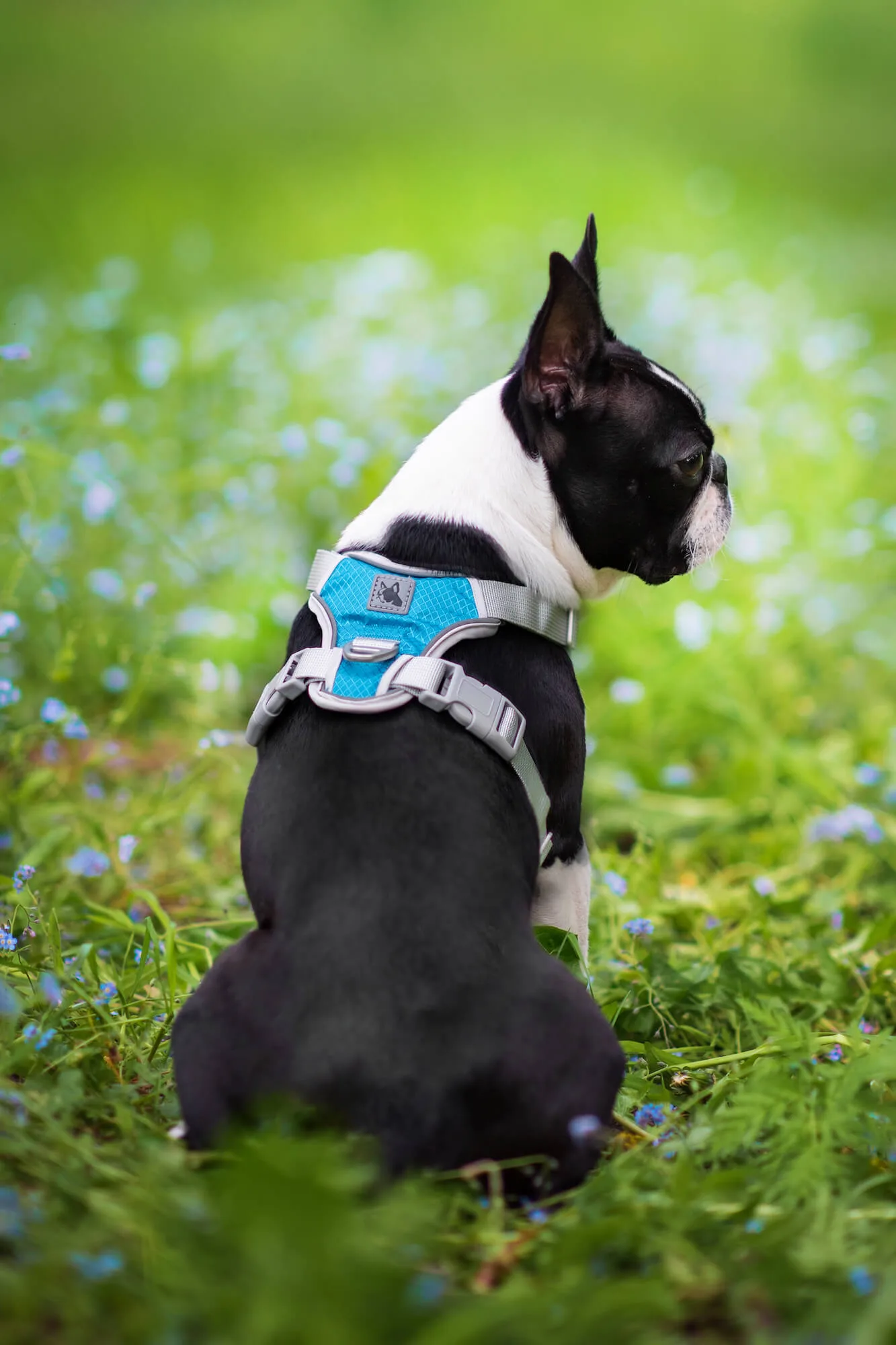 Obvod hrudníku: 57 - 73 cm