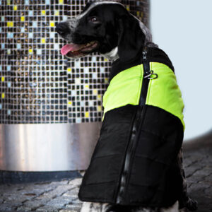 Vsepropejska Slim-rainy obleček pro psa na zip Barva: Černo-žlutá