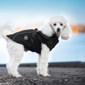Vsepropejska Stuart obleček pro psa na zip Barva: Černá