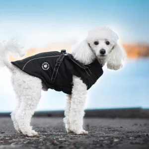 Vsepropejska Stuart obleček pro psa na zip Barva: Černá