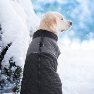 Vsepropejska Terenc obleček pro psa na zip Barva: Černá