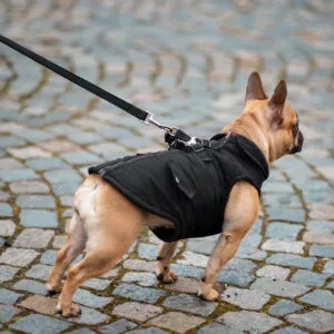 Vsepropejska Tulsi zimní bunda pro psa s postrojem Barva: Černá