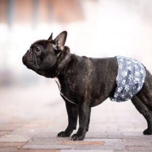 Vsepropejska Tuma protiznačkovací pás pro psa Barva: Šedá