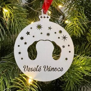 Vsepropejska Vánoční baňka s jezevčíkem – ozdoba na stromeček Typ: Baňka 3