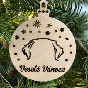 Vsepropejska Vánoční baňka s zlatý retriever – ozdoba na stromeček Typ: Baňka 7