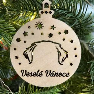 Vsepropejska Vánoční baňka s zlatý retriever – ozdoba na stromeček Typ: Baňka 7