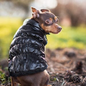 Vsepropejska Warm zimní bunda pro psa s kožichem Barva: Černá