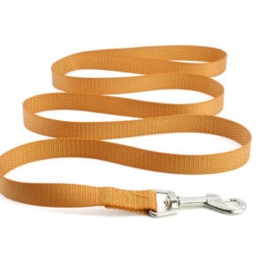 Vsepropejska Zuky nylonové vodítko pro psa | 124 cm Barva: Hnědá