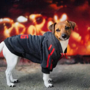 Vsepropejska Dog15 mikina pro psa Barva: Šedá