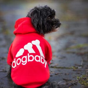 Vsepropejska DogBaby bavlněná mikina pro psa Barva: Červená