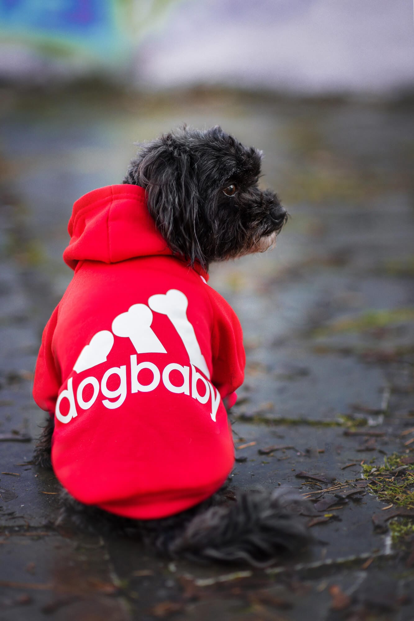 Vsepropejska DogBaby bavlněná mikina pro psa Barva: Červená