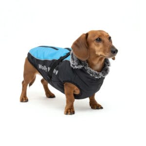 Vsepropejska Mansi zimní bunda pro psa s postrojem Barva: Modrá