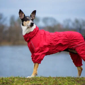 Vsepropejska Sayen kombinéza pro psa Barva: Červená